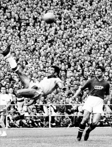 Nilton Santos (nilton santos)