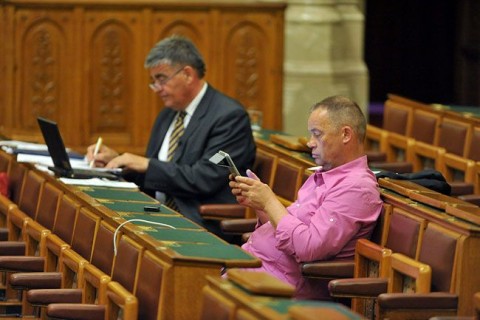 Szanyi Tibor (Szanyi Tibor)