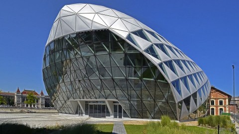 cet, bálna (cet, bálna)