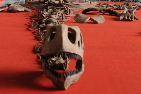 dinoszaurusz (dinoszaurusz, )