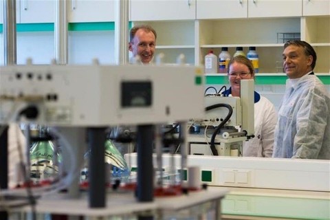 egis(1)(960x640).jpg (egis)