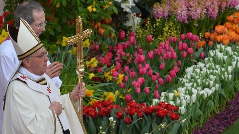 ferenc-papa-(960x640)(1).jpg (ferenc pápa, )