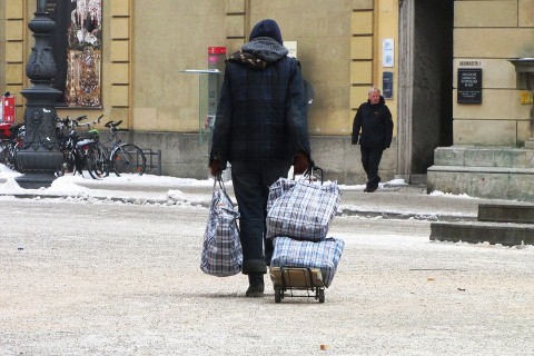 hajlektalan(1)(960x640)(1).jpg (hajléktalan, )