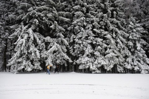 havazás galyatetőn (havazás, hó, kirándulók, )
