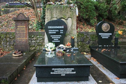 hermann-otto(210x140)(1).jpg (hermann ottó)