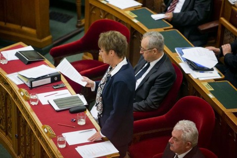 hoffmann rózsa (hoffmann rózsa)