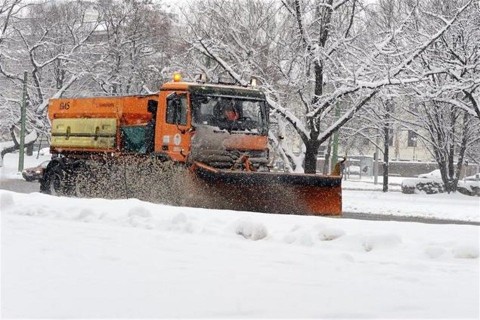 hokotro(1)(960x640).jpg (hókotró)