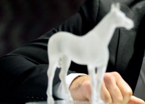 junior prima-díj (junior prima-díj)