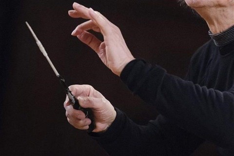 karmesteri-palca(1)(960x640).jpg (karmester, karmesteri pálca)