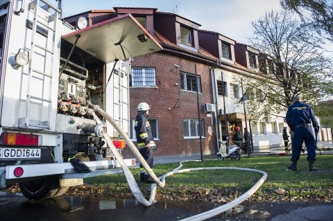 menekült (menekült)