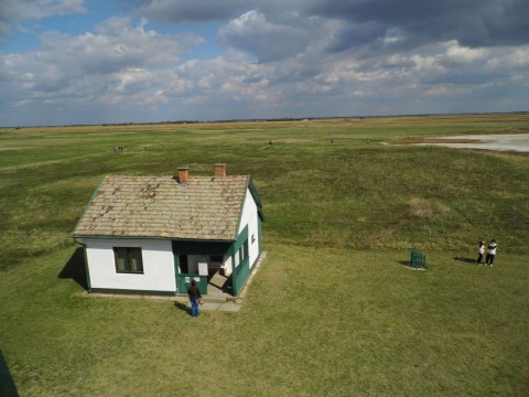 puszta (puszta, kardoskut)