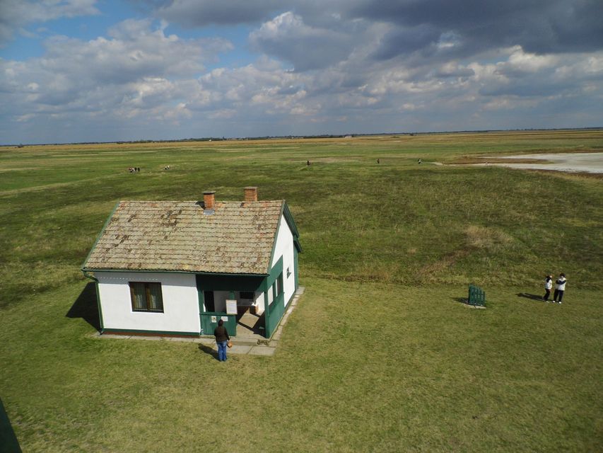 puszta (puszta, kardoskut)