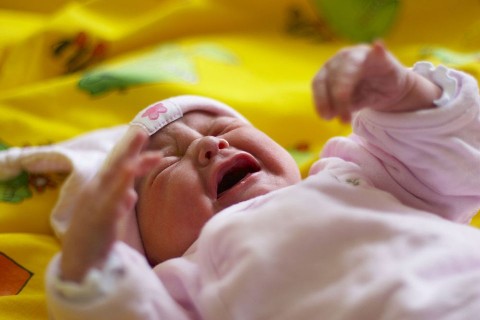 siro-kisbaba(960x640)(3).jpg (kisbaba, )