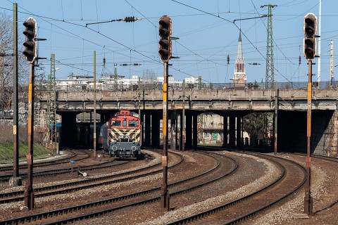 százlábú (százlábú)