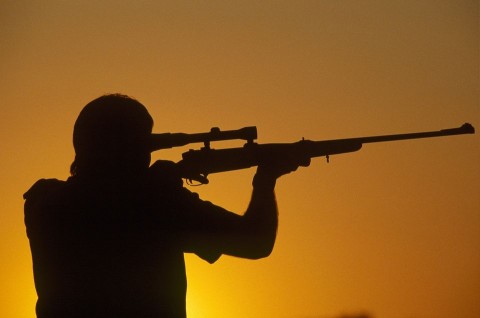 vadasz(960x640)(1).jpg (vadász)