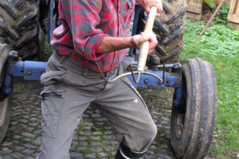 vasvilla (vasvilla, )