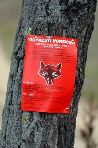 veszettség (veszettség)