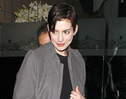 Anne Hathaway (anne hathaway, )