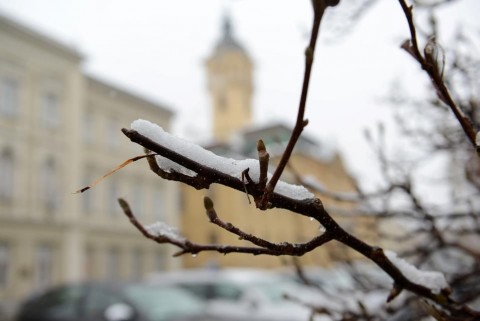 Havazás Szegeden (Havazás Szegeden)