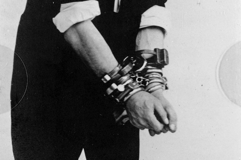 Houdini  (Houdini )
