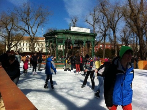 Kori liget (kori liget)