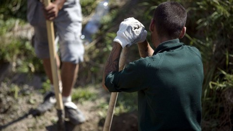 Kozmunka(210x140)(1).jpg (közmunka)