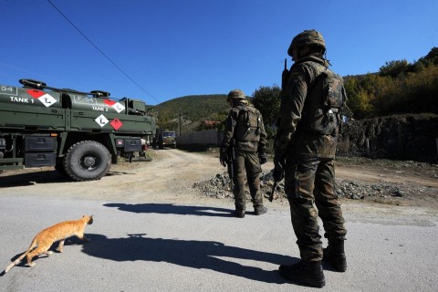 Macska koszovóban (macska, katona, koszovó)