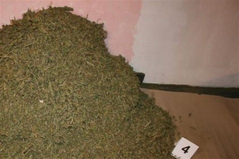 Marihuana-egy-szegedi-hazban(1)(960x640).jpg (Marihuána egy szegedi házban)