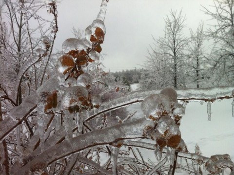 Ónos eső (ónos eső, )