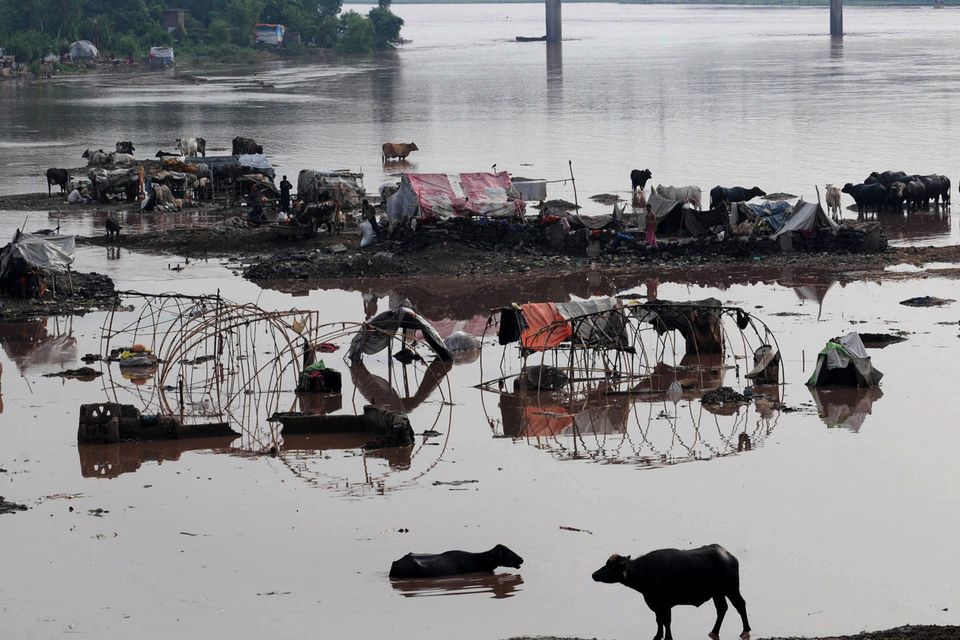 Pakisztáni áradás (pakisztán, áradás)