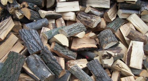 Tuzifa(430x286)(2).jpg (tűzifa)