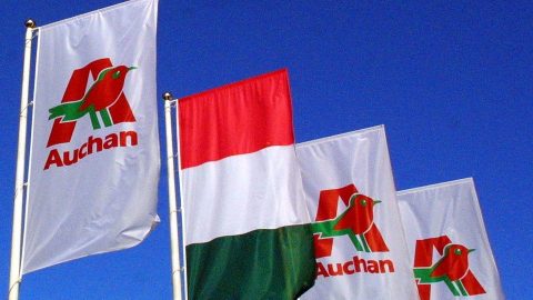 auchan (auchan, )