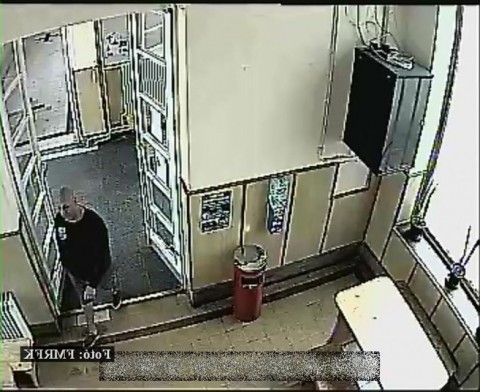 ciszterci tolvaj (ciszterci tolvaj)