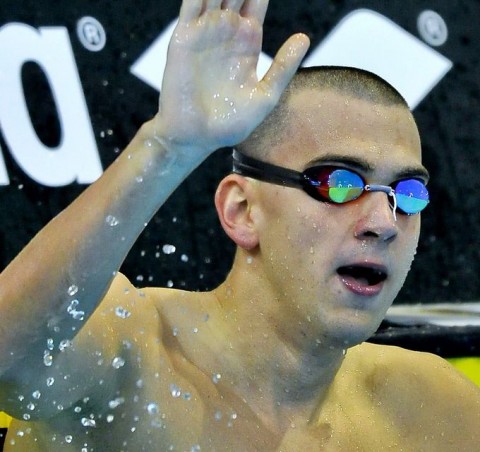 cseh laci (cseh laci, )