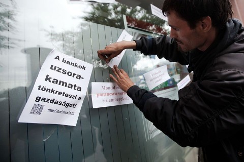 devizahitel (devizahitel)