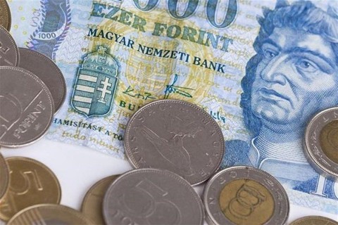 forint(1)(960x640).jpg (forint)