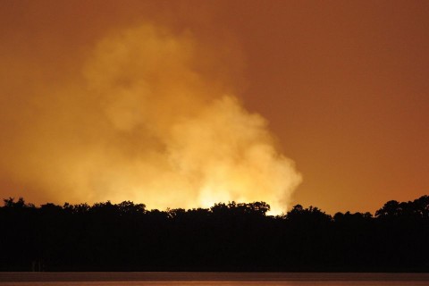 gazrobbanas(960x640)(1).jpg (florida, )