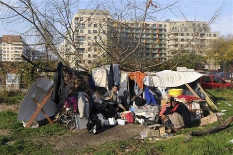 hajlektalan(1)(960x640).jpg (hajléktalan)