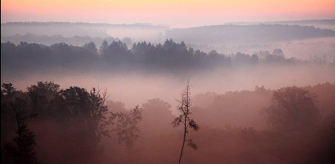 hajnali köd (ingyenes, )