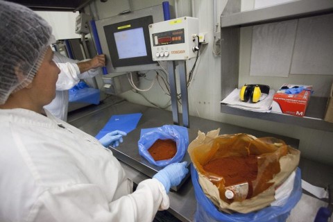 húsipar  (húsipar, paprika, pirospaprika, húsgyár, munkás, mérleg,)