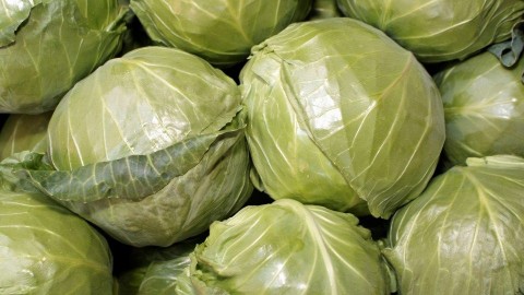 káposzta (káposzta, )