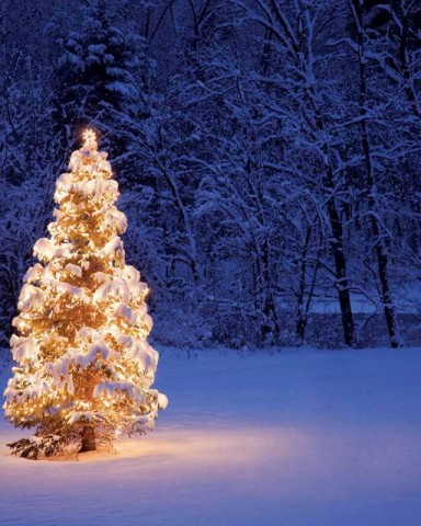 karácsony (Energia Magazin,)