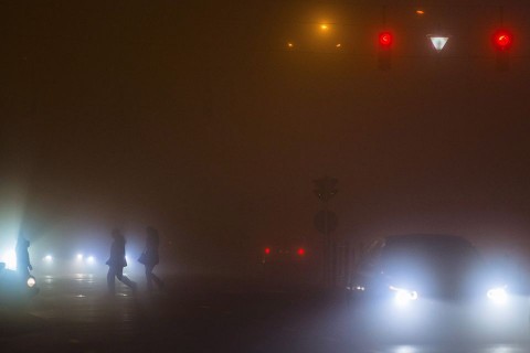 köd (köd, időjárás, )