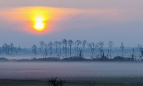 ködös idő balatonlellénél (köd, ködös idő, balatonlelle, )