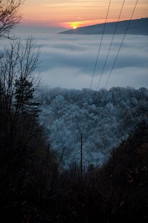 ködös mecsek (köd, mecsek, pécs, )