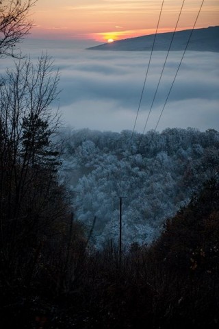 ködös mecsek (köd, mecsek, pécs, )