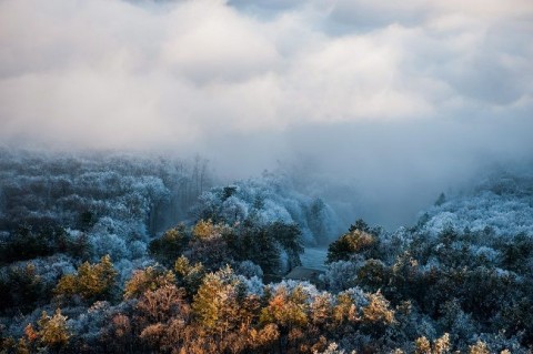 ködös mecsek (köd, mecsek, pécs, )