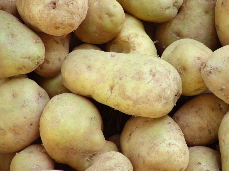krumpli(210x140)(1).jpg (krumpli)