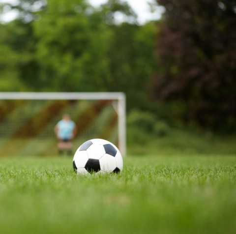 labdarúgás (labdarúgás, )