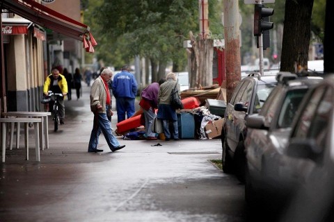 lomtalanitas(960x640).jpg (lomtalanítás, )